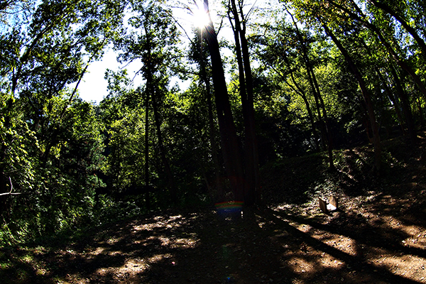 相模湖休養村キャンプ場